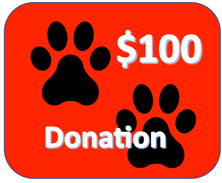 $100 donation
