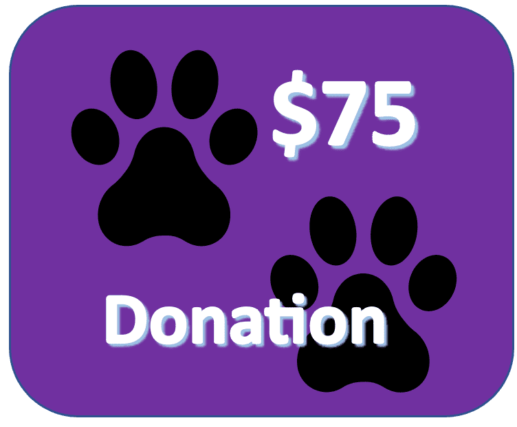 $75 Donation